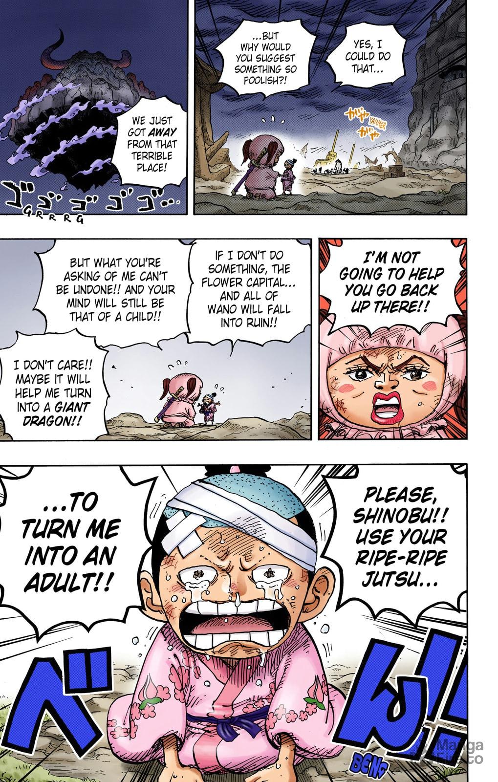 One Piece Digital Colored Chapter 1021 image 15